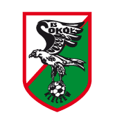 https://img.atworc.com/img/football/team/e6a8908dd206e2ea02d9803c82c60bba.png